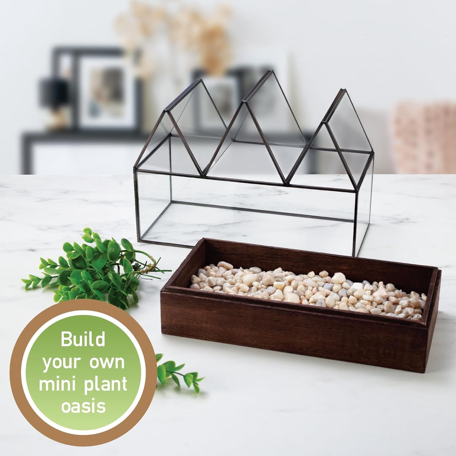 D'Eco Glass Castle Plant Terrarium (10x9x5) - Black Geometric Metal Planter w Wood Base - Grow Your Own Succulents, Plants, Moss, in an Indoor Home Garden - Great Gift for Plant Lovers