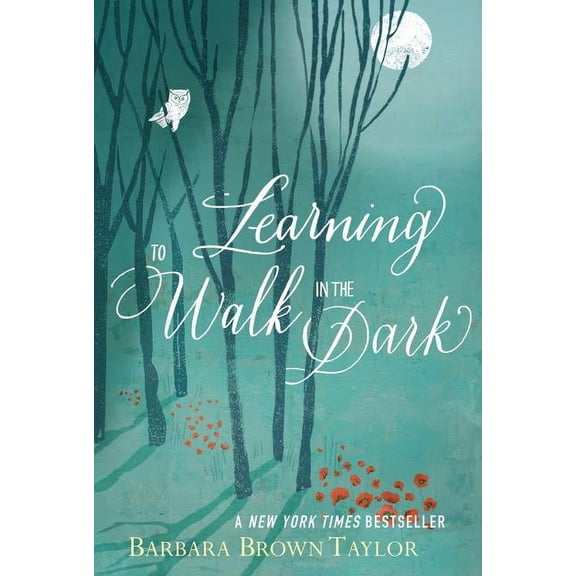 Learning to Walk in the Dark: Because Sometimes God Shows Up at Night, (Paperback)