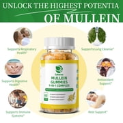 (2 Pack)Mullein Gummies for Lungs – Mullein Supplement with Quercetin, Elderberry for Respiratory & Immune Support, Lung Breathing & Detox, 60 Pineapple Gummies