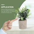 thumbnail image 4 of Pretyzoom 3Pcs Faux Eucalyptus Bonsai Potted Plants for Kitchen Table and Desktop Greenery Decor, 4 of 5