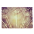 thumbnail image 1 of Ivory Cutting Board, Close up Dandelion Plant Petals Spring Inspiration Nature Mother Earth Theme Picture, Decorative Tempered Glass Cutting and Serving Board, Large Size, Peach Coral, by Ambesonne, 1 of 1