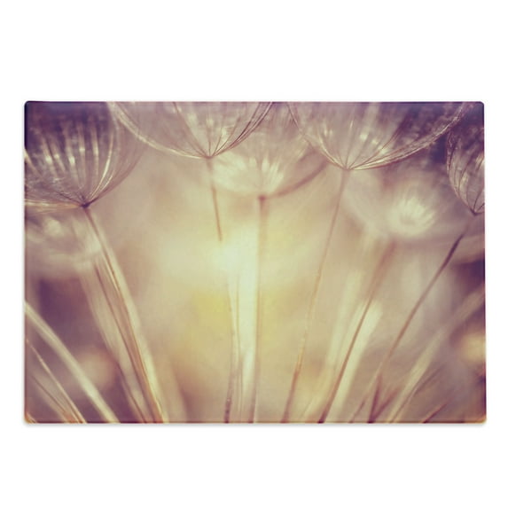 Ivory Cutting Board, Close up Dandelion Plant Petals Spring Inspiration Nature Mother Earth Theme Picture, Decorative Tempered Glass Cutting and Serving Board, Large Size, Peach Coral, by Ambesonne