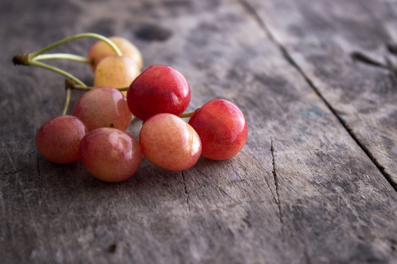Organic Rainier Cherries, 1 Pound - Non-GMO, Raw, Vegan -by Food to Live