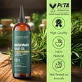 thumbnail image 3 of Majestic Pure 100% Pure Rosemary Oil for Hair Growth - Strengthening, Nourishing, Volumizing - Infused with Biotin Oil, Jojoba Oil & Castor Oil - Non GMO Verified - 4 Fl Oz - With Applicator, 3 of 10
