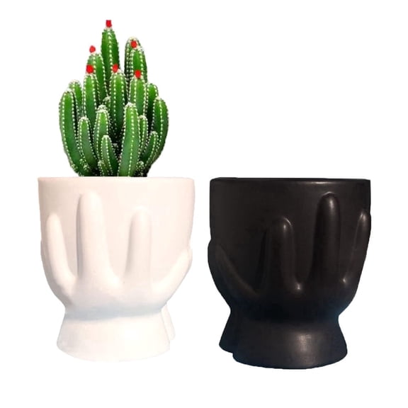 Ceramic Flower Pots Succulent Planter Indoor Plants Planter White and Black Set of 2