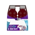 Ocean Spray® CranGrape® Cranberry Grape Juice Drinks, 10 fl oz Bottles