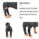 thumbnail image 5 of Methold Accesorio protector equilibrado SBR para lesiones en el codo de mascotas Suministros para perros S Methold PT000086-01, 5 of 6