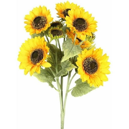 Vickerman 22