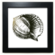 thumbnail image 1 of Black venera la vida marina ilustración Mesa de pared con marco cuadrado negro, 1 of 4