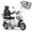 SILVER, variant on SKRT Electric Large 3 Wheel Mobility Scooters, Heavy Duty Wheelchair Device, 400 LBS Capacity for Seniors & Adults, Speed Adjust, Remote Key, Assembled In US, Receive Ready to Ride