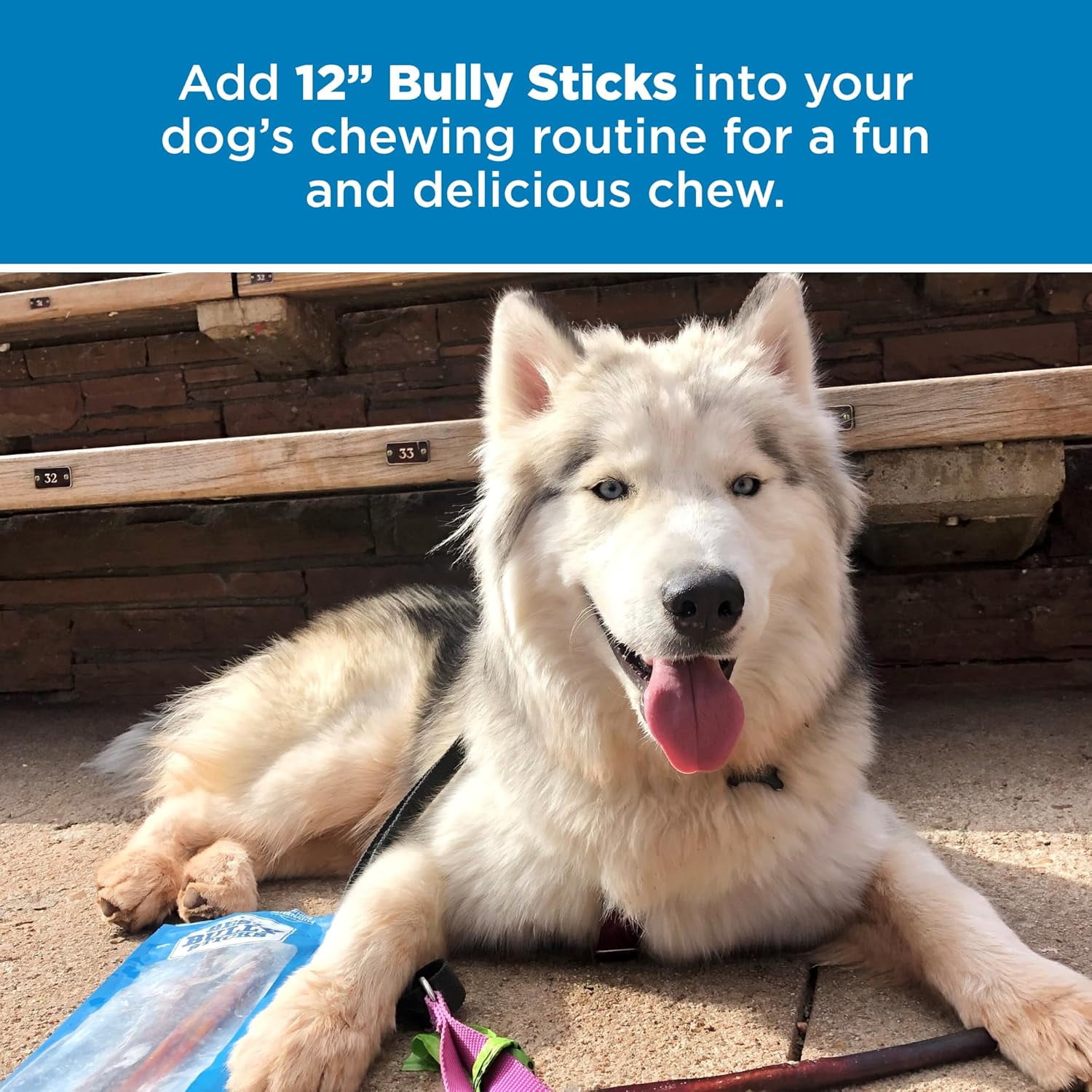 Best Bully Sticks 12 Inch Bully Sticks - 25 Count (Pack of 1) - All-Natural, Fully Digestible, 100% Grass-Fed, Grain and Rawhide Free