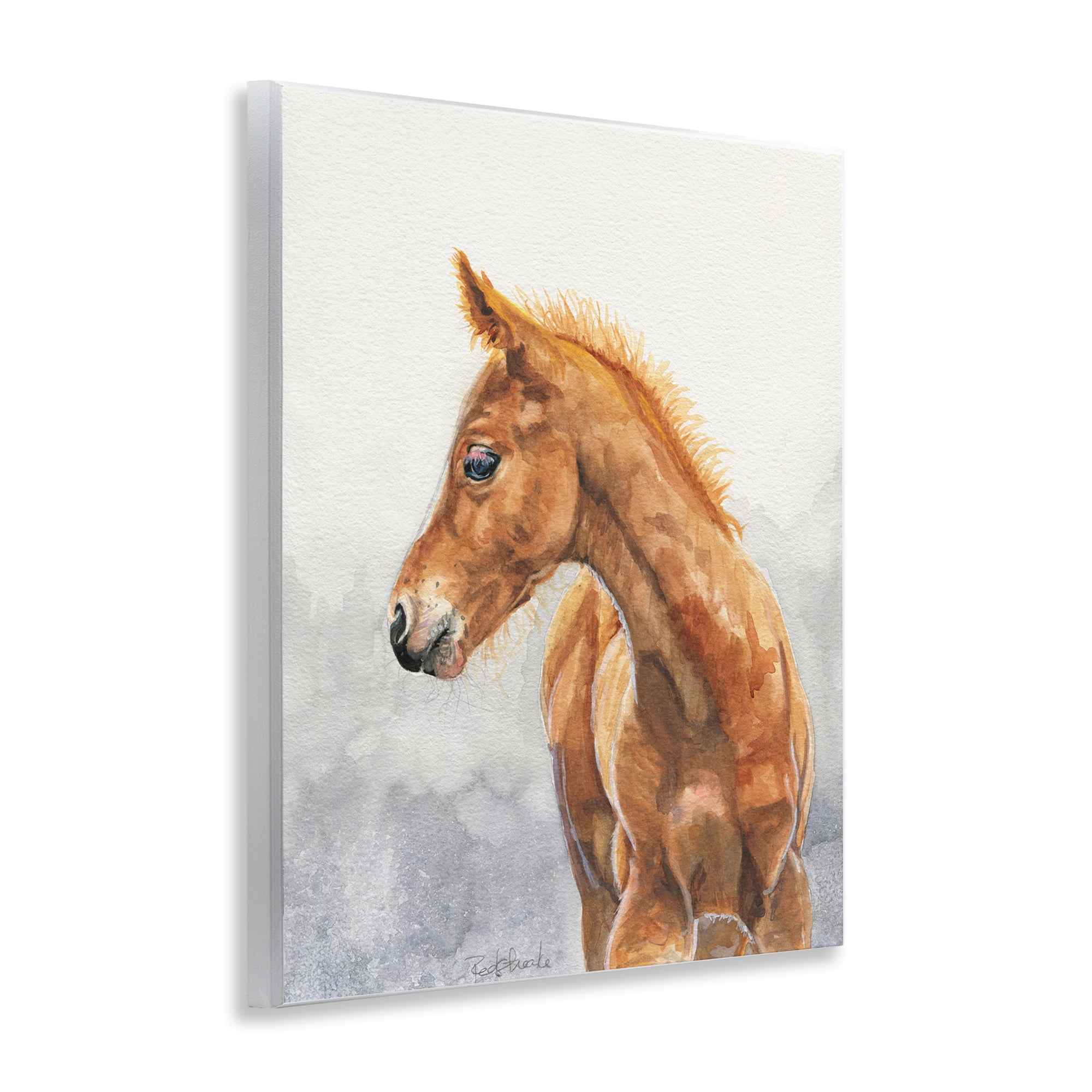 Stupell Industries Watercolor Brown Foal Animals Painting Unframed Art Print Wall Art, 11 x 14