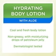 thumbnail image 5 of Equate Beauty Hydrating Body Lotion with Aloe, 20.3 fl oz, 5 of 9