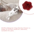 thumbnail image 3 of Collier pour Chien Fleurs Confortable à Porter Design Bande Élastique Nœud Papillon Perle Chiffon Belle Apparence Fournitures pour Chiot Rouge, 3 of 7