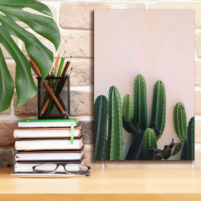 Epic Graffiti 'Cactus on Pink' by Incado, Giclee Canvas Wall Art, 18"x26"