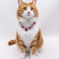 thumbnail image 4 of Dog Collar and Cat Gold Chain Necklace Stainless Steel Adjustable Diamonds Collar with Cute Pet Paw for Small Medium Pets Cats Dogs Kitten Puppy(S,Light pink), 4 of 4