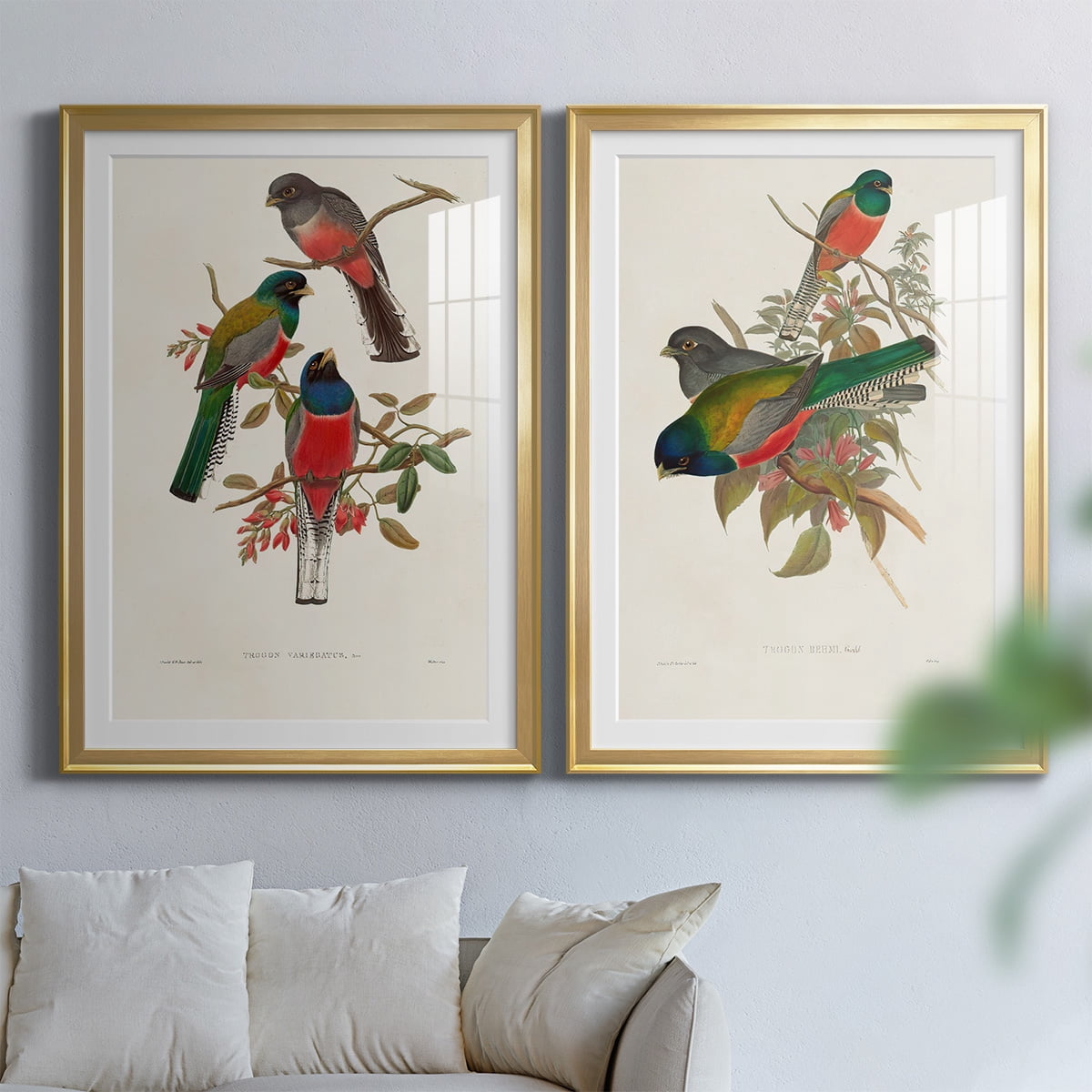 Wexford Home Elegant Trogons IX Premium Framed Print, 22.5" x 30.5" - Ready to Hang, Gold (Set of 2)