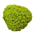 thumbnail image 3 of Piedras de musgo artificiales, bolas de musgo, decoración para acuarios, 25 g Verde, 3 of 9