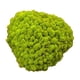 thumbnail image 3 of Adornos de musgo artificial decorativo de 25 g para decorar el dormitorio y eventos especiales. Verde, 3 of 9