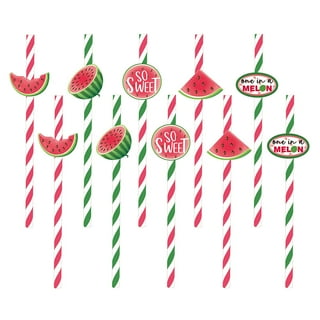 Swig Life Reusable Straws Melon Pop + Watermelon Tall Straw Set & Cleaning  Brush, Each Straw is 10.25 inch Long (Fits Swig Life 20oz Tumblers, 22oz  Tumblers, and 32oz Tumblers) 