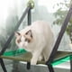 thumbnail image 5 of Cama para gatos montada en ventana, ventana para cama para gatos, ventana extraíble para cama para gatos, estantes de seguridad para gatos, claridad notable, 5 of 9