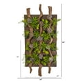 thumbnail image 2 of Nearly Natural 41in. x 19in. Mixed Succulent Plastic Artificial Plant, Green, 2 of 2