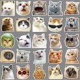 thumbnail image 3 of 50 paquetes de expresiones para gatos, 3 of 4