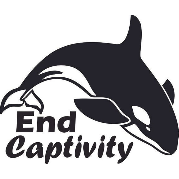 Killer Toothed Whale Orcinus Orca Customized Wall Decal - Custom Vinyl Wall Art - Personalized Name - Baby Girls Boys Kids Bedroom Wall Decal Room Decor Wall Stickers Decoration Size (40x40 inch)