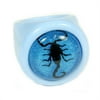 R0031-7 Ring Black Scorpion Blue with Blue Background Size 7