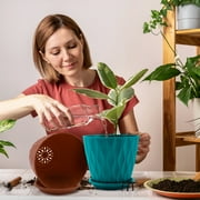 FOUKUS 6 inch Plastic Plant Pots: 5 Pack Indoor Planters with Drainage and Tray Outdoor Flower Pots, Multicolor