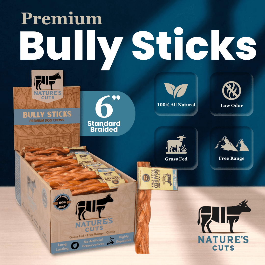 6" Braided Standard Bully Sticks Display Box (60 ct) with Individual UPC Tags - 100% All Natural Beef