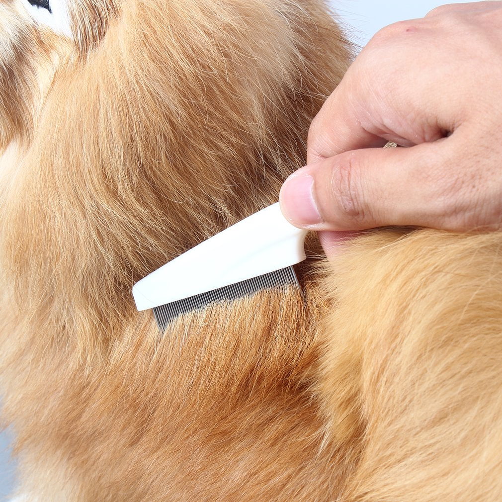 2pcs Pet Dog Hair Flea Comb Stainless Pin Dog Cat Grooming Brush