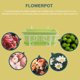 thumbnail image 4 of FOLOYORI 1Jgo Soporte Colgante Para Macetas De Material Premium Para Jardín Y Del Hogar, 4 of 8