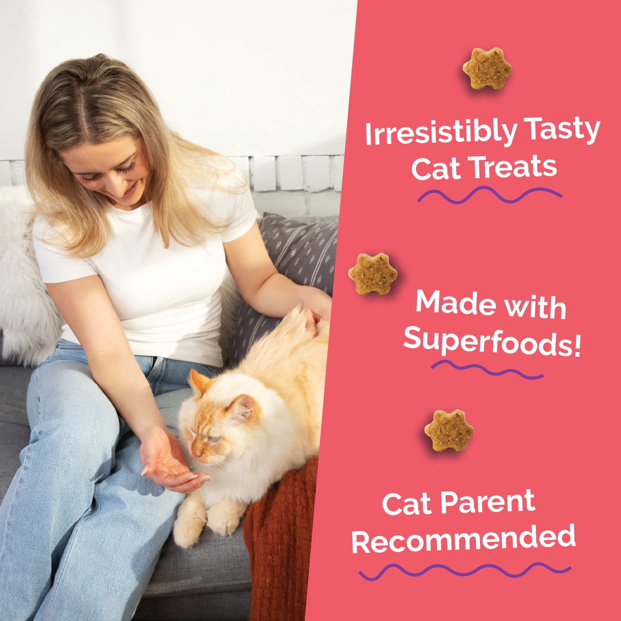 Fruitables Salmon and Cranberry Cat Treats - 30 Ounces