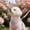 Pink-M, variant on NWOKYZGH Cat Harness and Leash Set for Walking Escape Proof, Adjustable Kitten Harness Breathable Mesh with Reflective Strips Harness with Flower for Kitty Puppy Bunny
