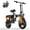 Z8, variant on PIKA 750W Foldable Electric Bike for Adults, 48V 10Ah Removable Battery, 14" Ebike, Electric Mini Bike,The range is 25 miles UL 2849