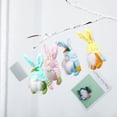 thumbnail image 4 of Faceless Gnome Festival Party Decor Kids Gift Handmade Gnomes Dolls Rabbit Doll Hanging Easter Bunny Ornaments Dwarf Pendant STYLE 1, 4 of 8