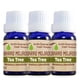 thumbnail image 1 of PAQ. 3 ACEITE ESENCIAL TEA TREE 100% NATURAL, 1 of 4