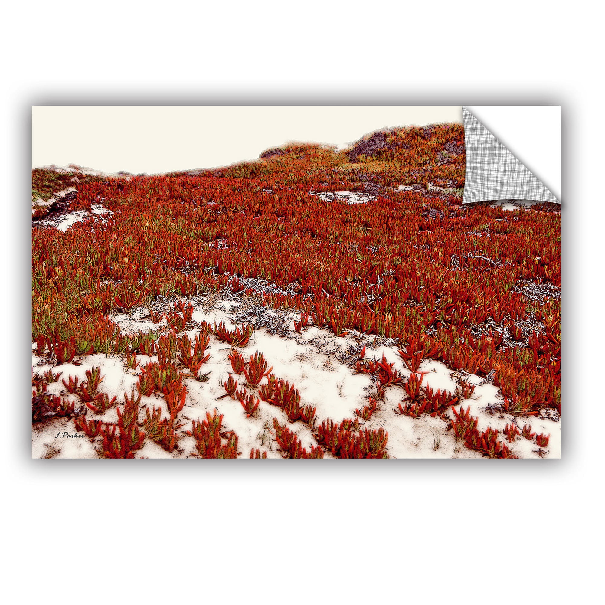 ArtAppealz Linda Parker "Red Ice On Beach I" Removable Wall Art
