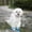 Sky Blue, variant on Waterproof Dog & Cat Booties, Non- TPE Shoes for Small Pets, Rain, Snow & Hot Pavement Protection