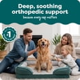 thumbnail image 2 of FurHaven Orthopedic Dog Bed For Large Dogs, Sofa-style With Orthopedic Egg Crate with a Solid Orthopedic Foam Base for Joint Support, Washable Cover, Jumbo XL, Plush & Velvet Waves, Celadon Green, 2 of 9