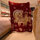 thumbnail image 4 of Manta para el aire acondicionado del Año del Caballo - Funda de aire acondicionado de forro polar suave para hogar y oficina, bendición decorativa de feng shui para buena fortuna y protección, 4 of 8