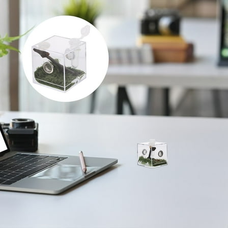 Toyvian Transparent Acrylic Jumping Spider Enclosure Box Durable Reptile Habitat