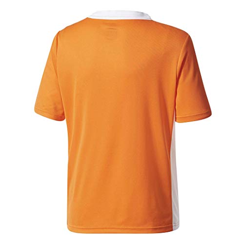 adidas youth entrada 18 jersey