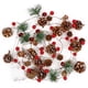 thumbnail image 1 of Guirnalda navideña con luces, cadena de luces de piñas de 6.5 pies, luces decorativas de hadas, 20 LED, campana de piña roja para decoración de guirnalda de agujas de puerta de jardín de Acción de Gracias Sincero Electrónica, 1 of 5