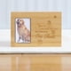 thumbnail image 3 of Urnas para mascotas para perros y gatos, urnas de cremación para mascotas, recuerdo conmemorativo de madera para mascotas, urnas para cenizas de gatos. A, 3 of 9