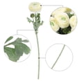 thumbnail image 4 of Uxcell Artificial Ranunculus Flowers, 6 Stems Faux Permanent Flower Floral Arrangements Bouquet, White, 4 of 5