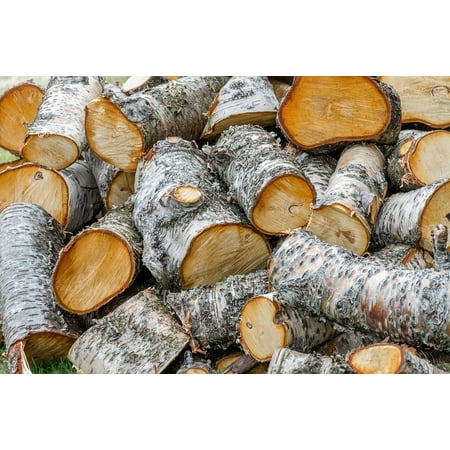 Canvas Print Cut Woodpile Rough Material Firewood Log Pile Stretched Canvas 10 x (Best Way To Cut Logs For Firewood)