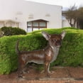 thumbnail image 5 of Nifao Standing Chihuahua Bronze Statue – Home Decor Sculpture, 6"L x 16"W x 14"H, 5 of 12