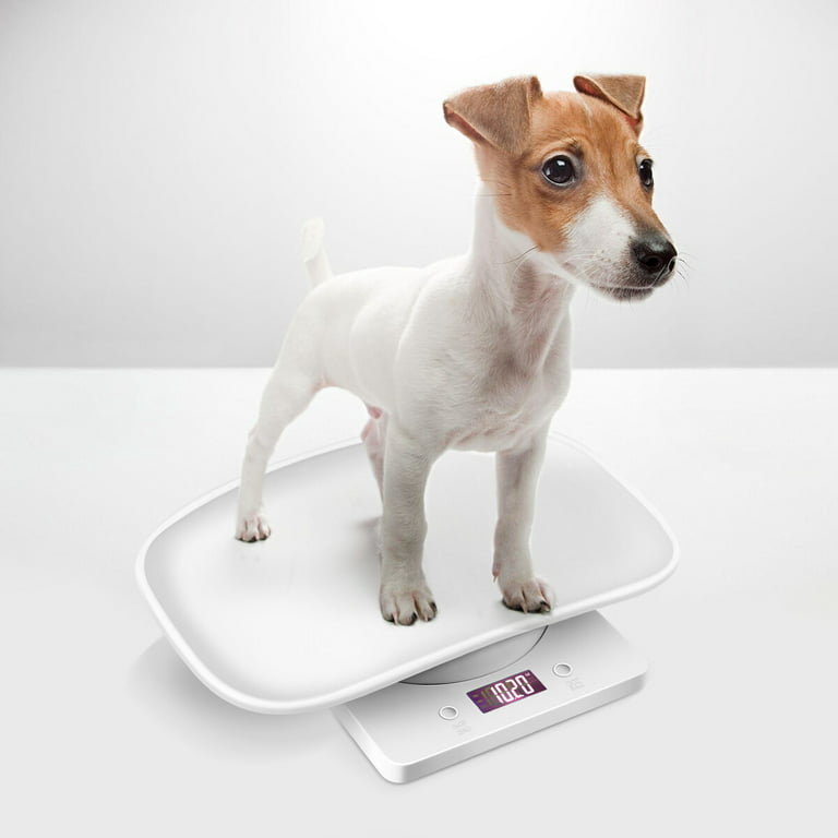 Scale Weight Pet Digital Baby Puppy Dog Scales Infant Small Weighing Food  Measure Tool Dogs Whelping Precision Kitten